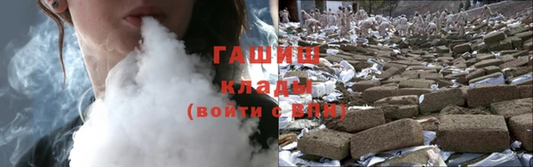 гашик Балахна