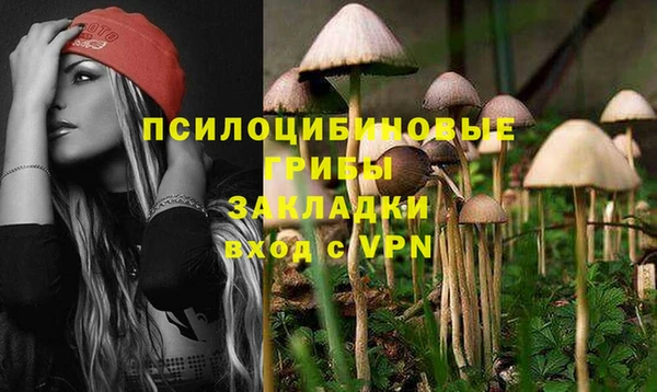 гашик Балахна