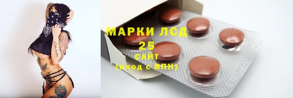 гашик Балахна