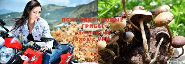 mdpv Баксан