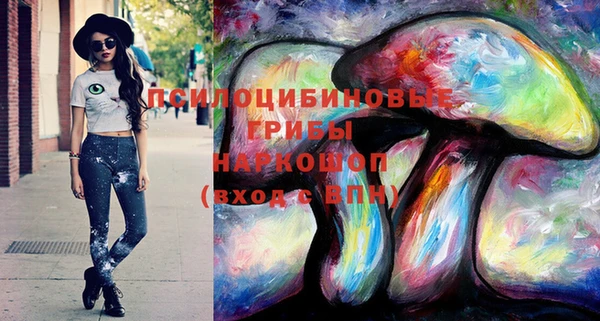 гашик Балахна